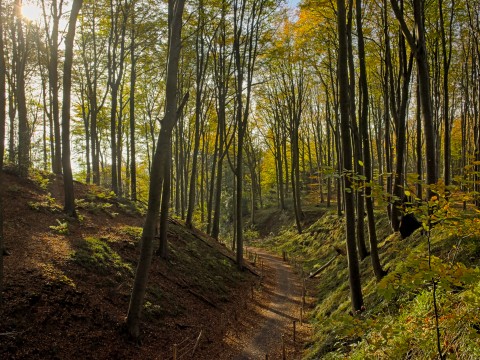 Kapellen_shutterstock.jpg